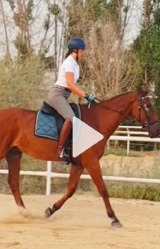 Post 1 by Ride in Balance on Instagram (video)