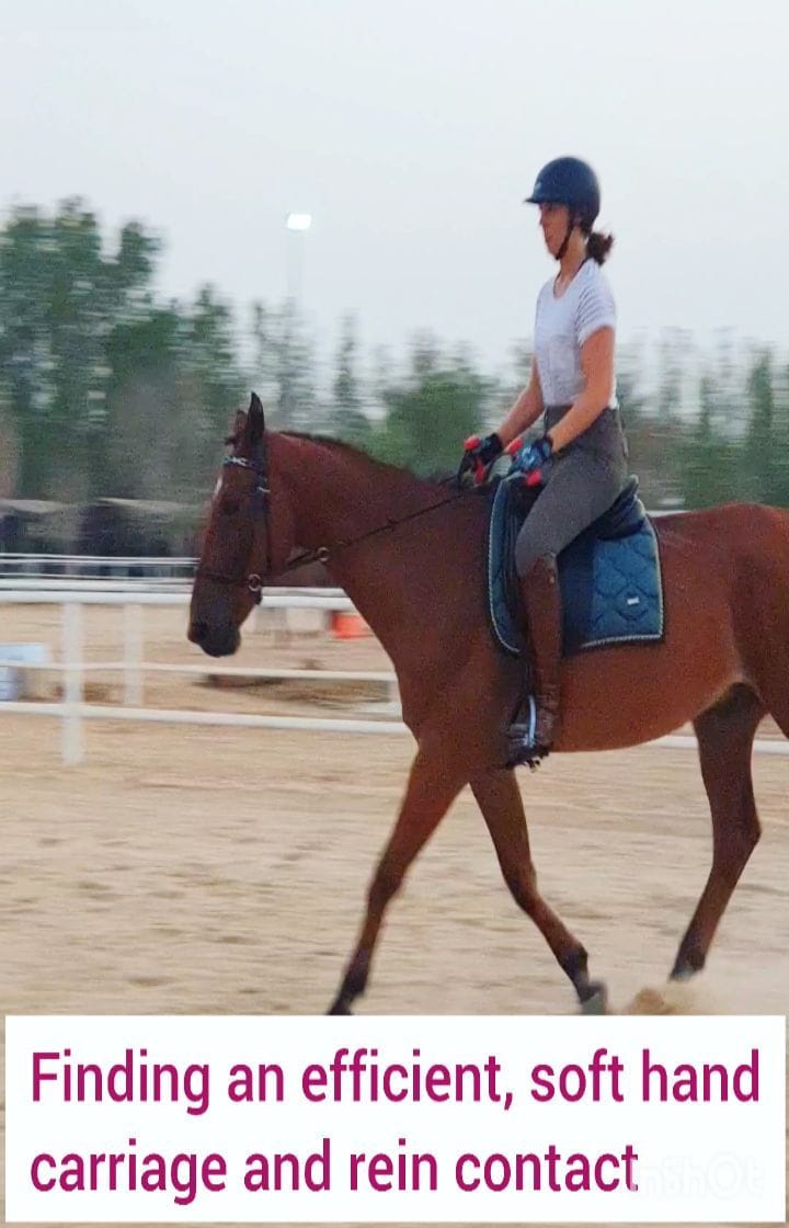 Post 4 by Ride in Balance on Instagram (video)