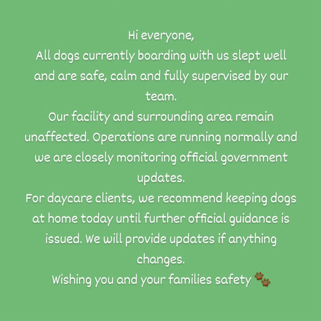 Post 6 by Dog House on Instagram (image)