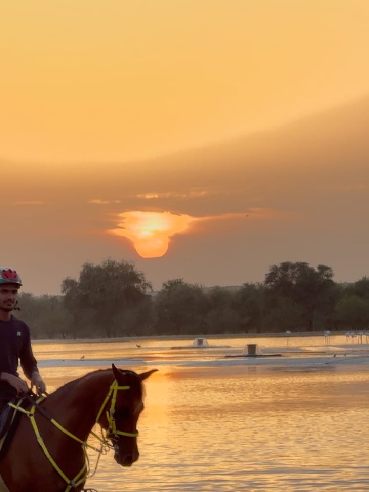 Post 8 by نادي أعيان للفروسية  Aayan Equestrian Club on Instagram (carousel)