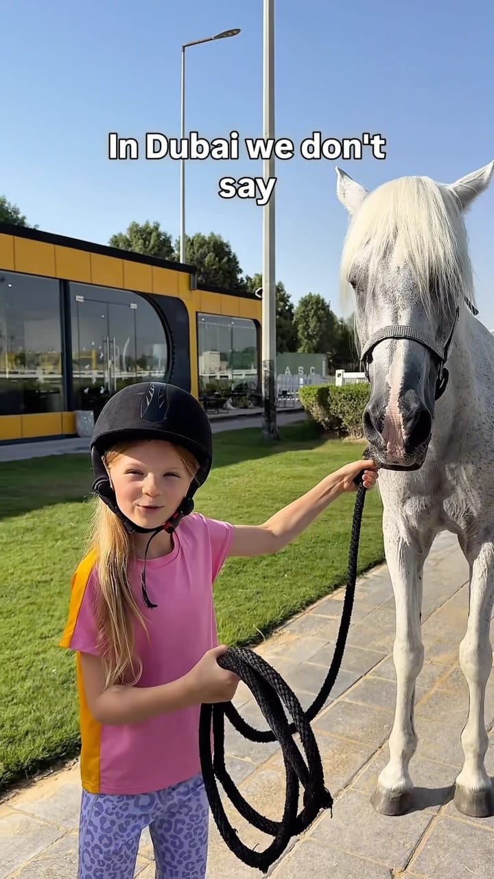 Post 7 by نادي أعيان للفروسية  Aayan Equestrian Club on Instagram (video)