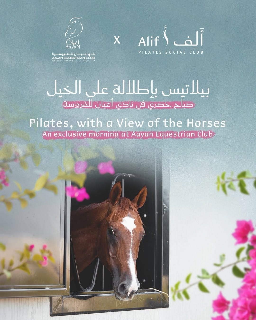 Post 2 by نادي أعيان للفروسية  Aayan Equestrian Club on Instagram (carousel)