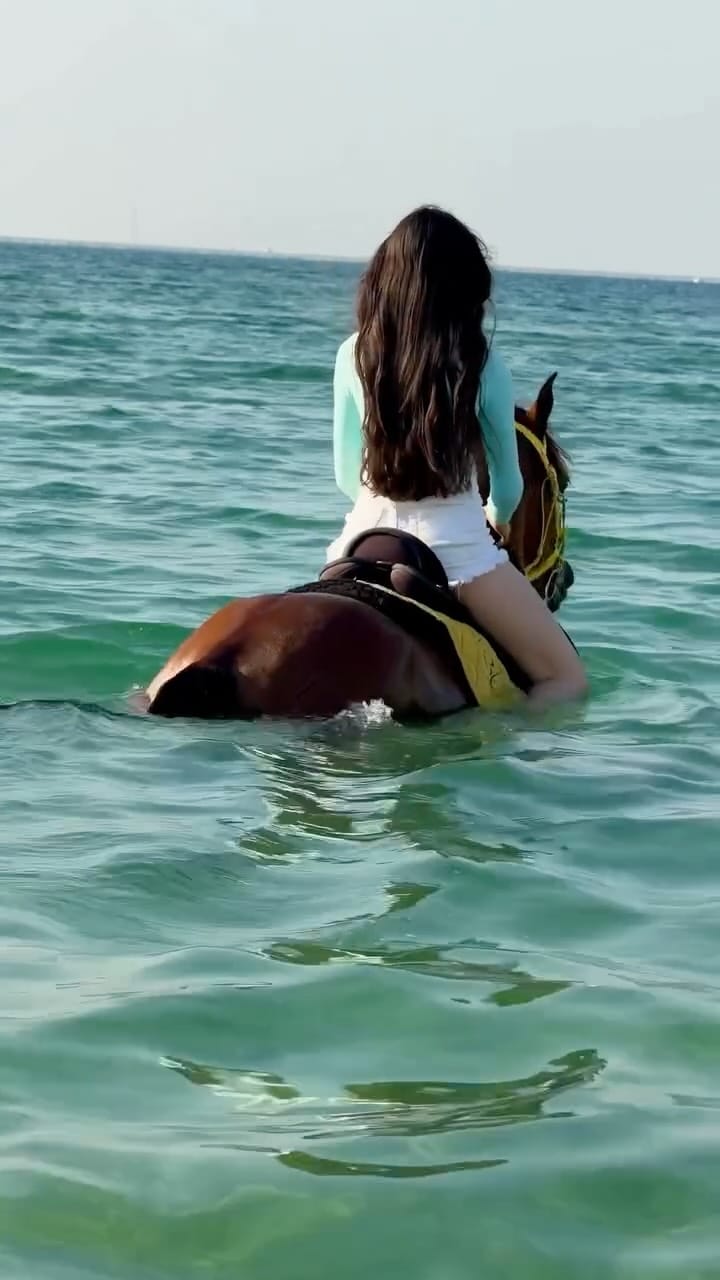 Post 4 by نادي أعيان للفروسية  Aayan Equestrian Club on Instagram (video)