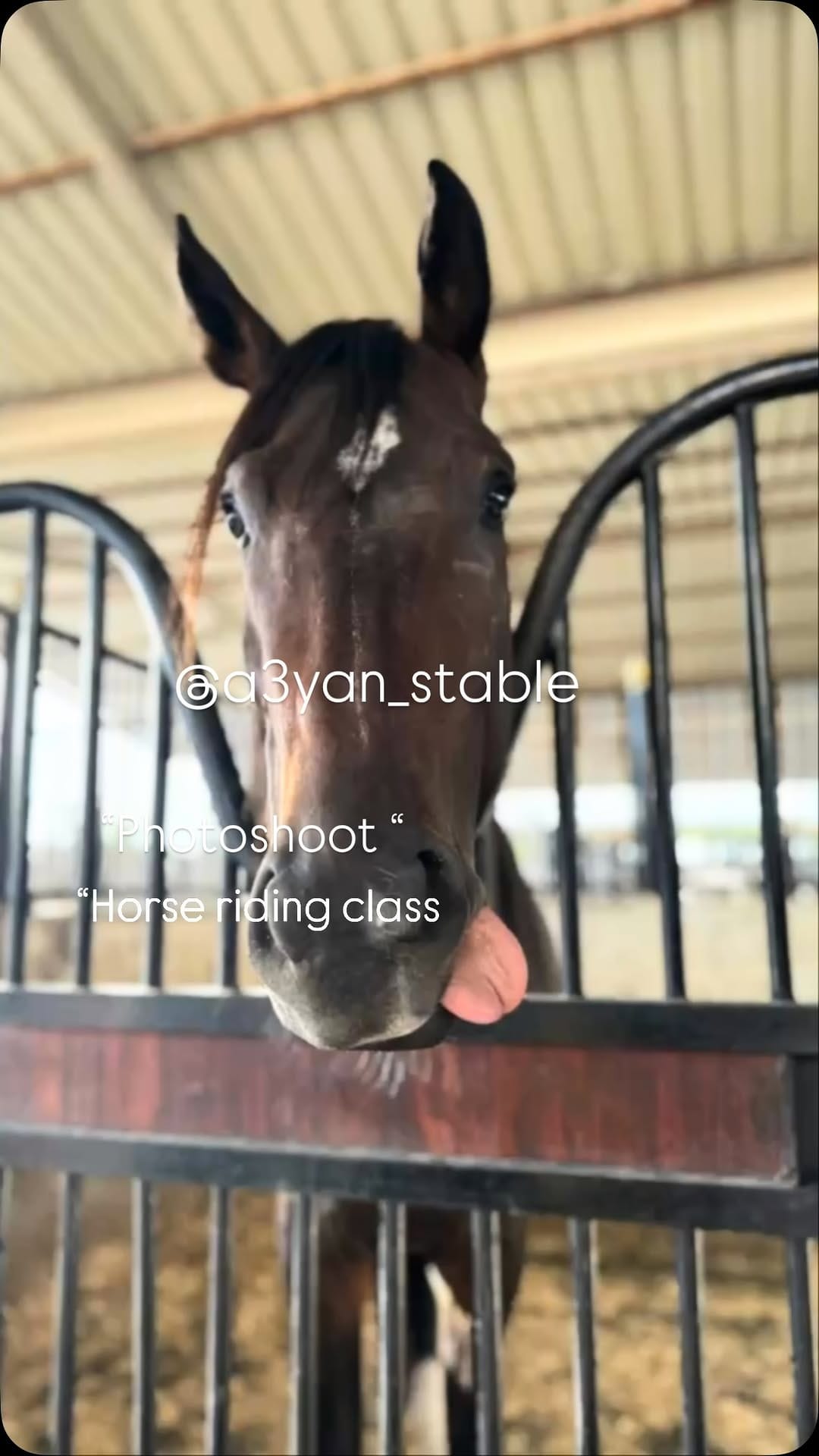 Post 3 by نادي أعيان للفروسية  Aayan Equestrian Club on Instagram (video)