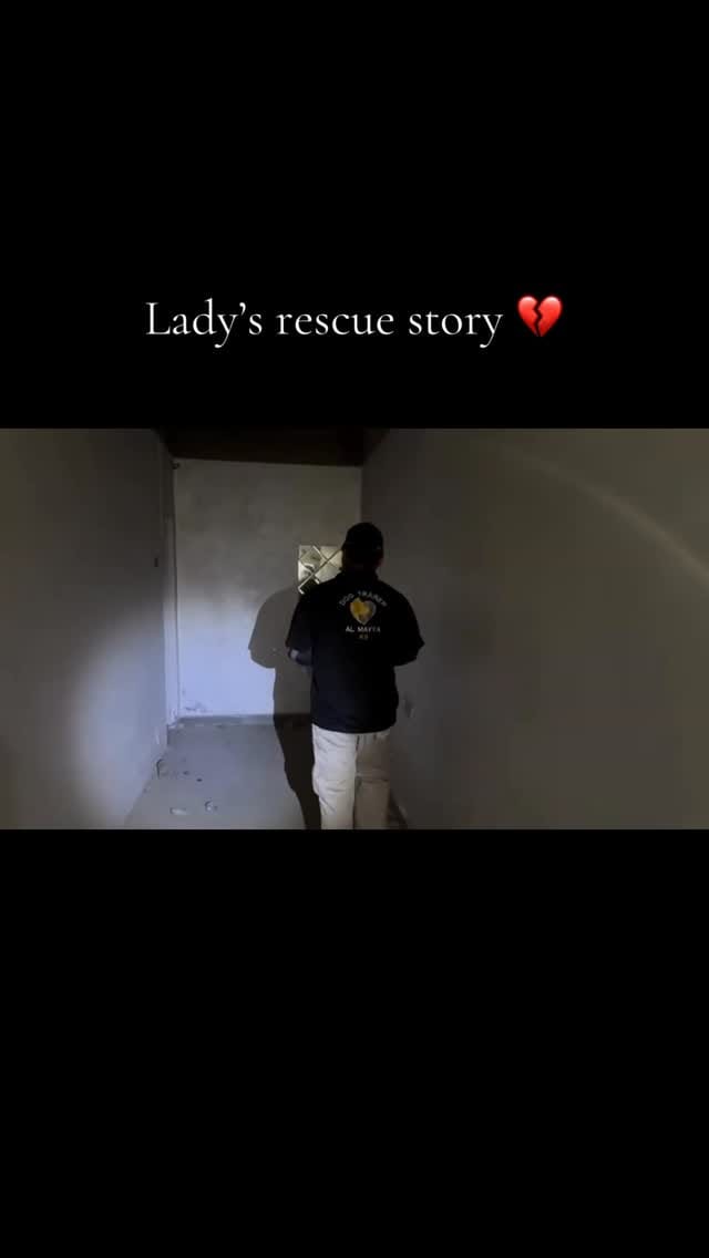 Post 2 by Al Mayya K9 Adoptions UK on Instagram (video)
