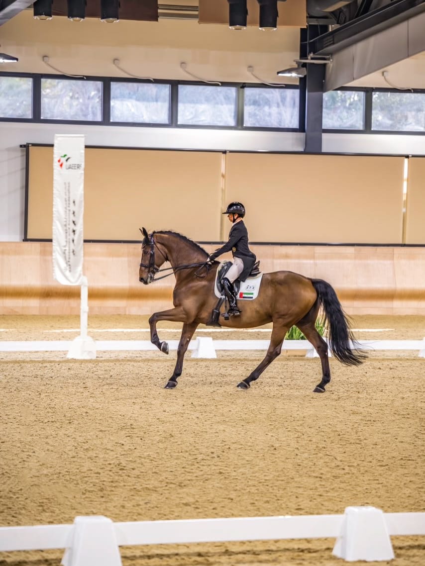 Post 1 by The Royal Stables - Abu Dhabi on Instagram (carousel)