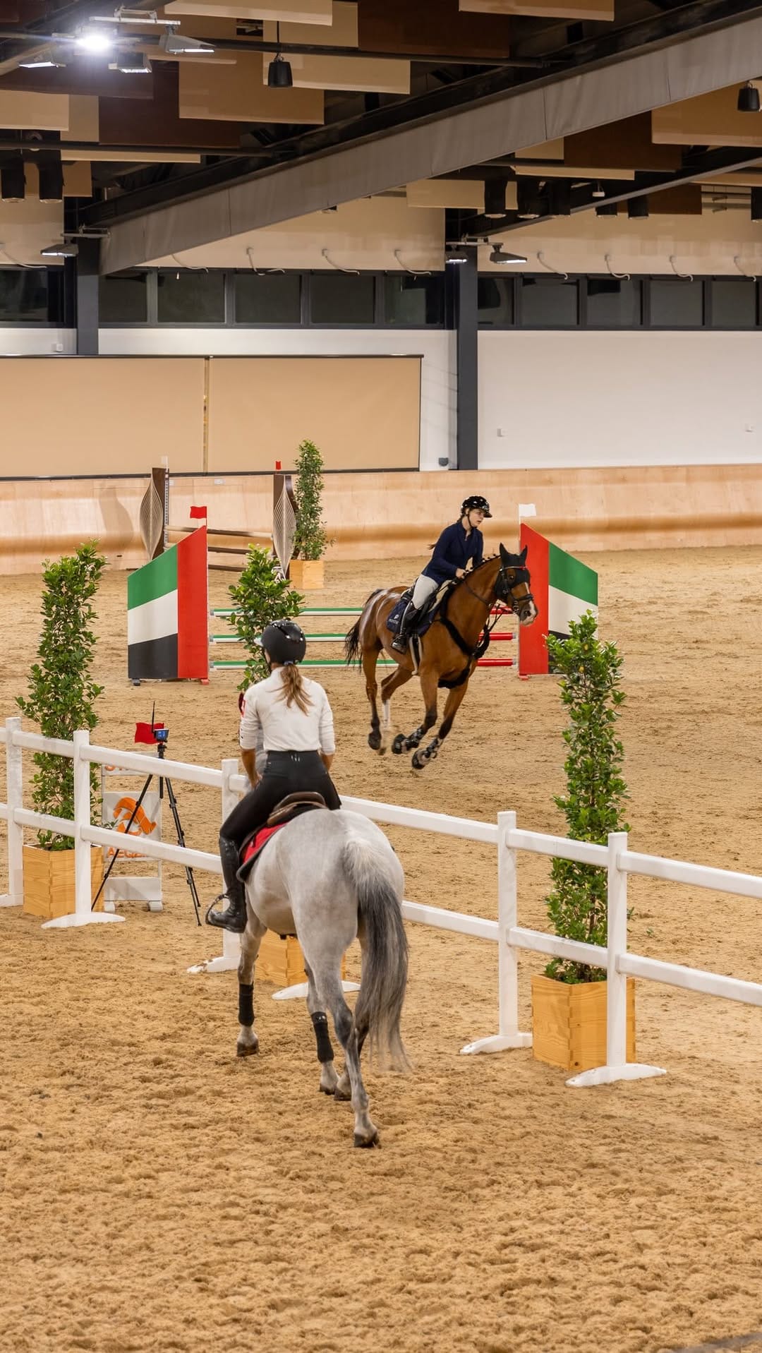 Post 6 by The Royal Stables - Abu Dhabi on Instagram (video)