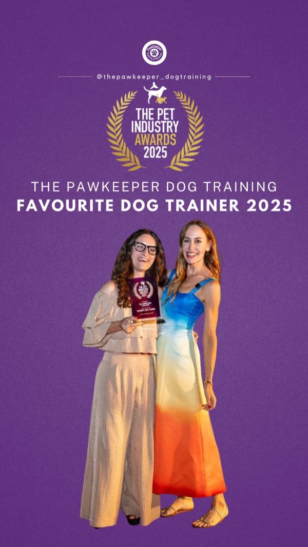 Post 8 by Jasmin | UAE's Favorite Dog Trainer 2024 & 2025 | 🇦🇪🇶🇦 Est. 2017 on Instagram (video)
