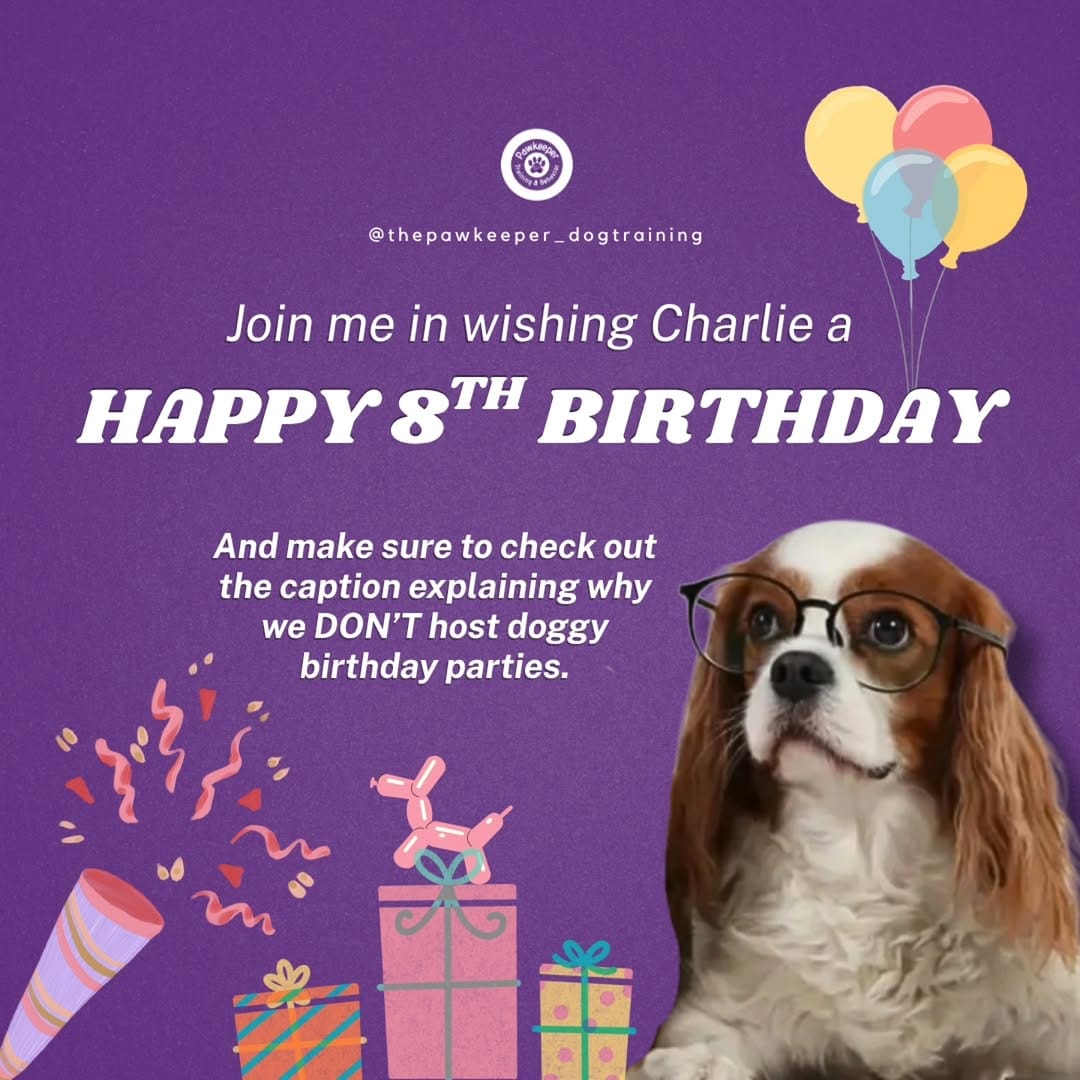 Post 5 by Jasmin | UAE's Favorite Dog Trainer 2024 & 2025 | 🇦🇪🇶🇦 Est. 2017 on Instagram (image)