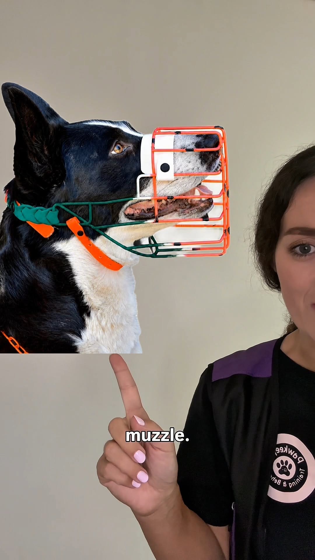 Post 7 by Jasmin | UAE's Favorite Dog Trainer 2024 & 2025 | 🇦🇪🇶🇦 Est. 2017 on Instagram (video)