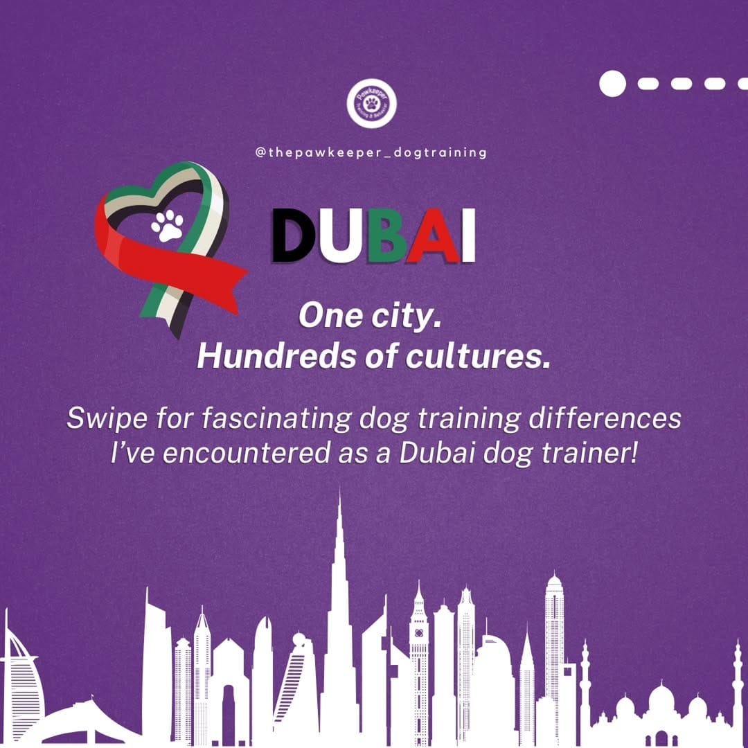 Post 2 by Jasmin | UAE's Favorite Dog Trainer 2024 & 2025 | 🇦🇪🇶🇦 Est. 2017 on Instagram (carousel)