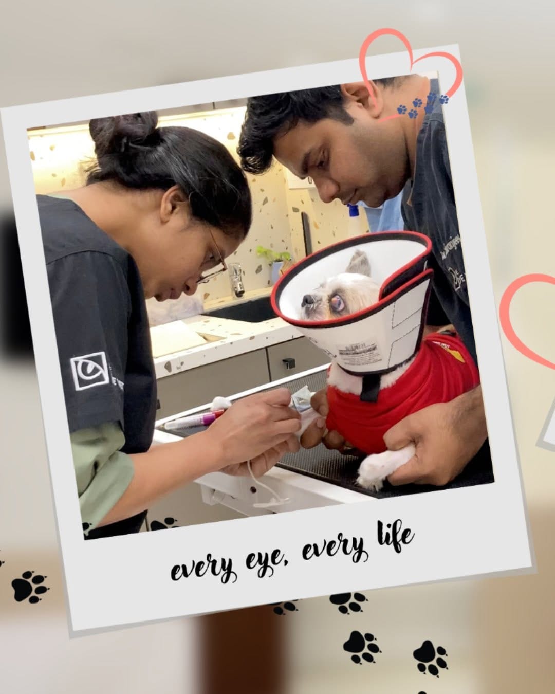 Post 9 by The Eye Vet on Instagram (carousel)