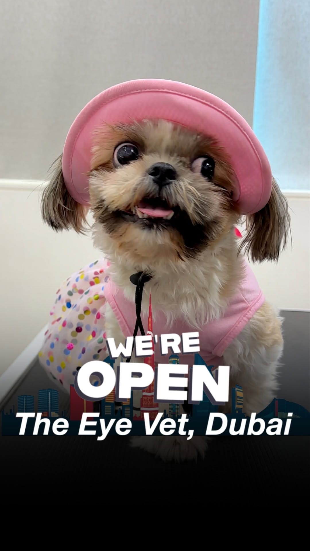 Post 10 by The Eye Vet on Instagram (video)