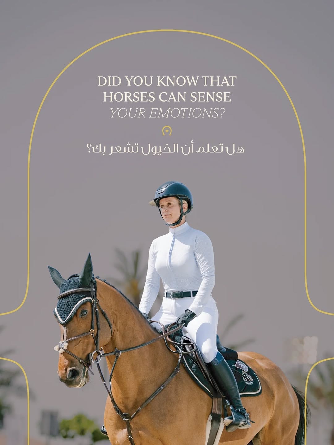Post 1 by Abu Dhabi Equestrian Club on Instagram (carousel)