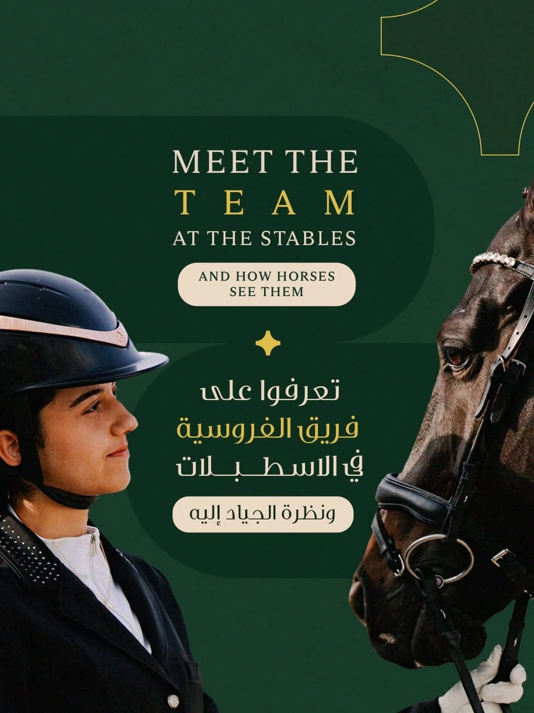 Post 9 by Abu Dhabi Equestrian Club on Instagram (carousel)