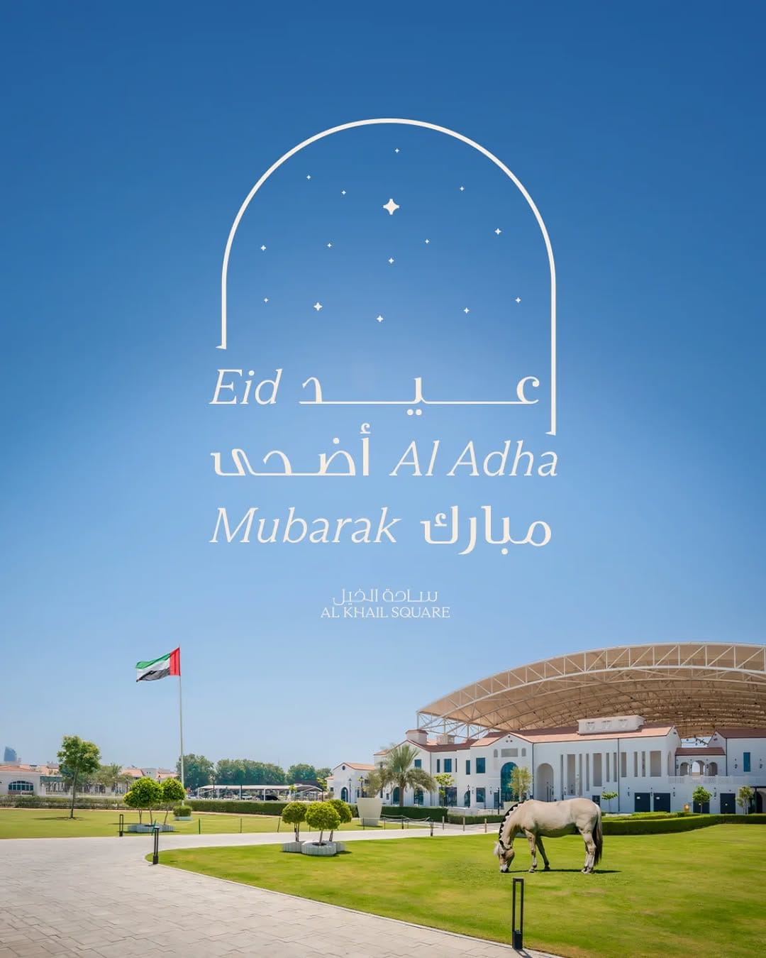 Post 3 by Abu Dhabi Equestrian Club on Instagram (image)