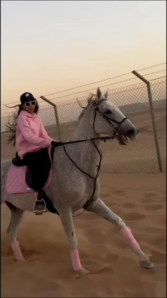 Post 6 by 𝐌𝐚𝐧𝐚𝐫 | 𝐂𝐞𝐫𝐭𝐢𝐟𝐢𝐞𝐝 𝐄𝐪𝐮𝐞𝐬𝐭𝐫𝐢𝐚𝐧 𝐂𝐨𝐚𝐜𝐡 on Instagram (video)