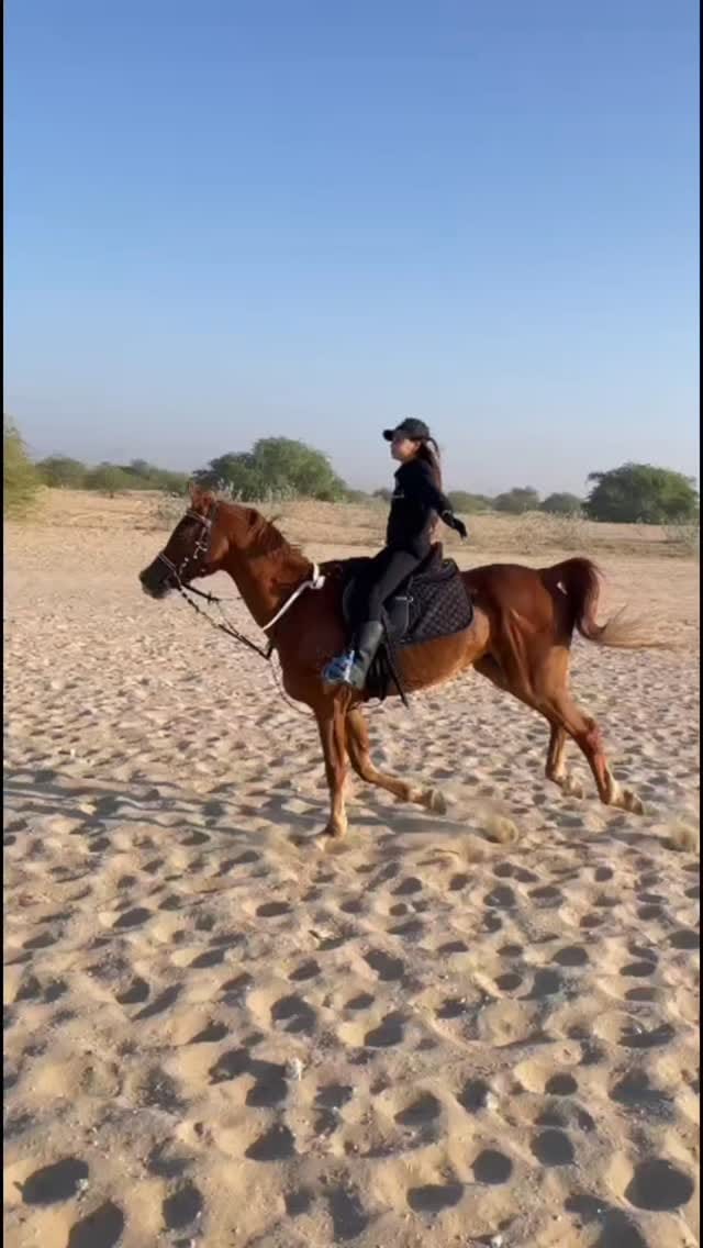Post 4 by 𝐌𝐚𝐧𝐚𝐫 | 𝐂𝐞𝐫𝐭𝐢𝐟𝐢𝐞𝐝 𝐄𝐪𝐮𝐞𝐬𝐭𝐫𝐢𝐚𝐧 𝐂𝐨𝐚𝐜𝐡 on Instagram (video)