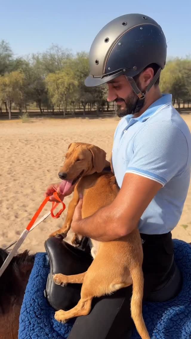 Post 1 by Mohammad Hosseini on Instagram (video)