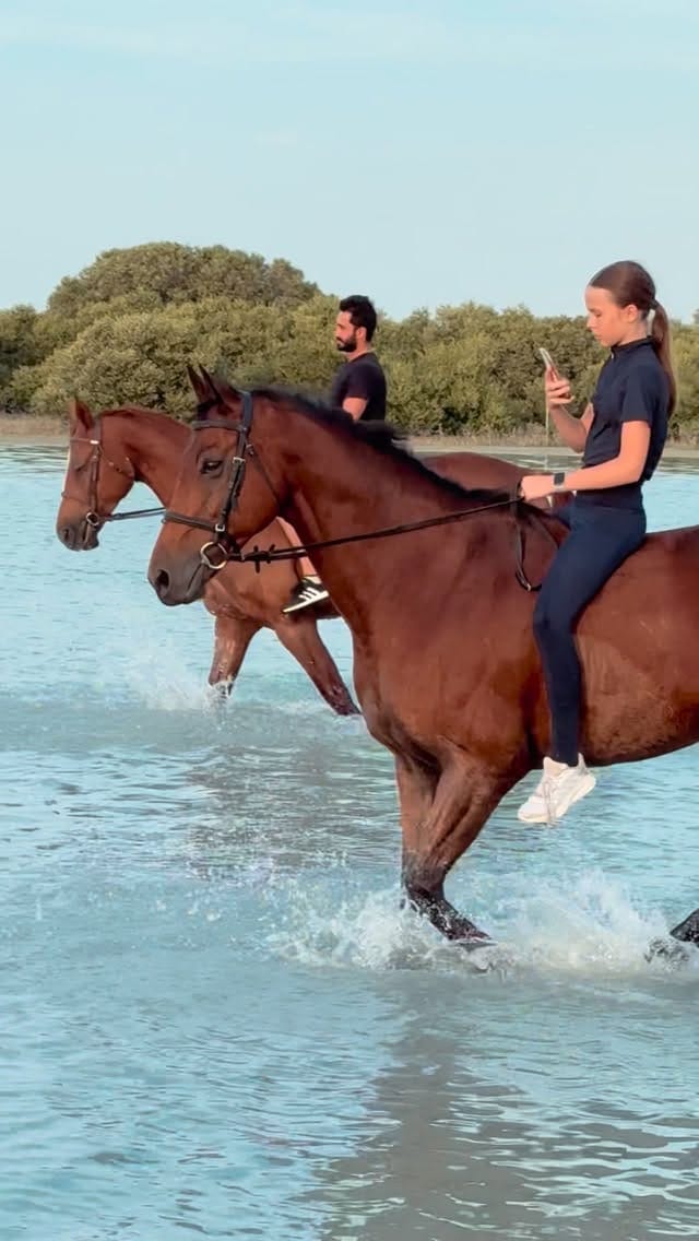 Post 5 by Mohammad Hosseini on Instagram (video)