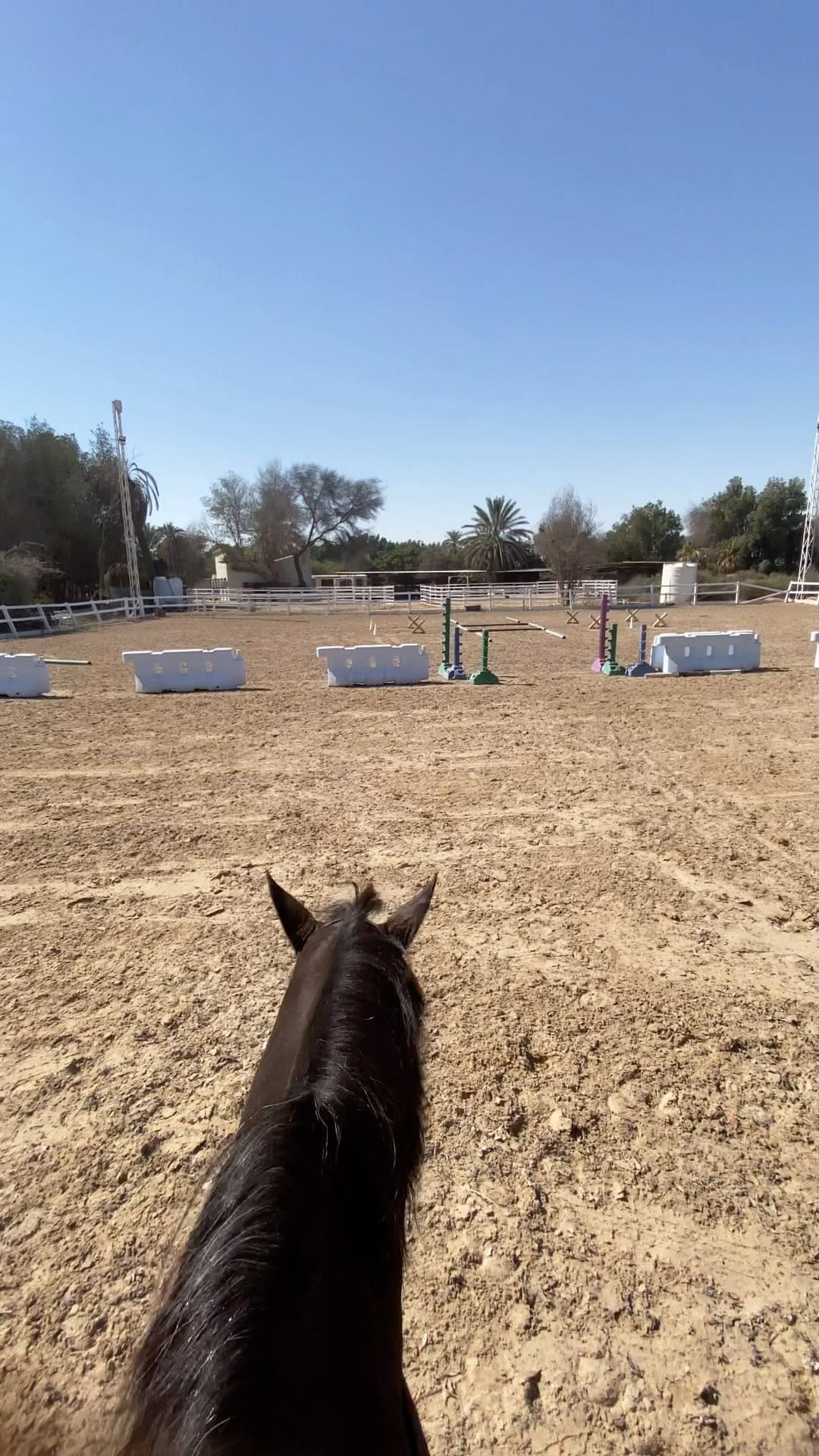 Post 8 by Mohammad Hosseini on Instagram (video)