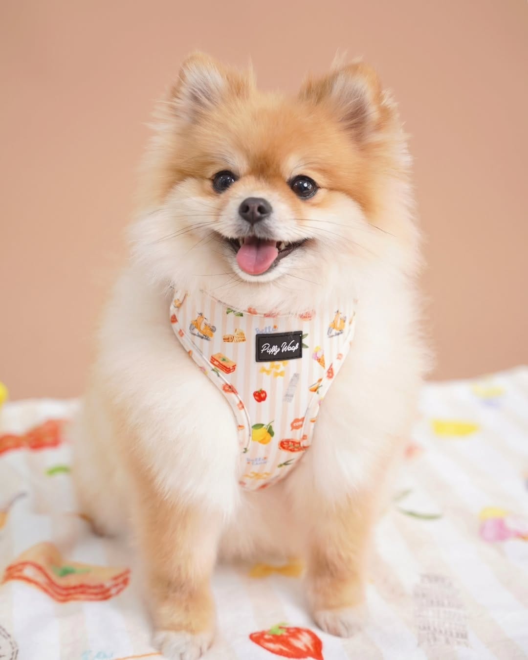 Post 10 by Puffy Woof | Pet accessories on Instagram (carousel)