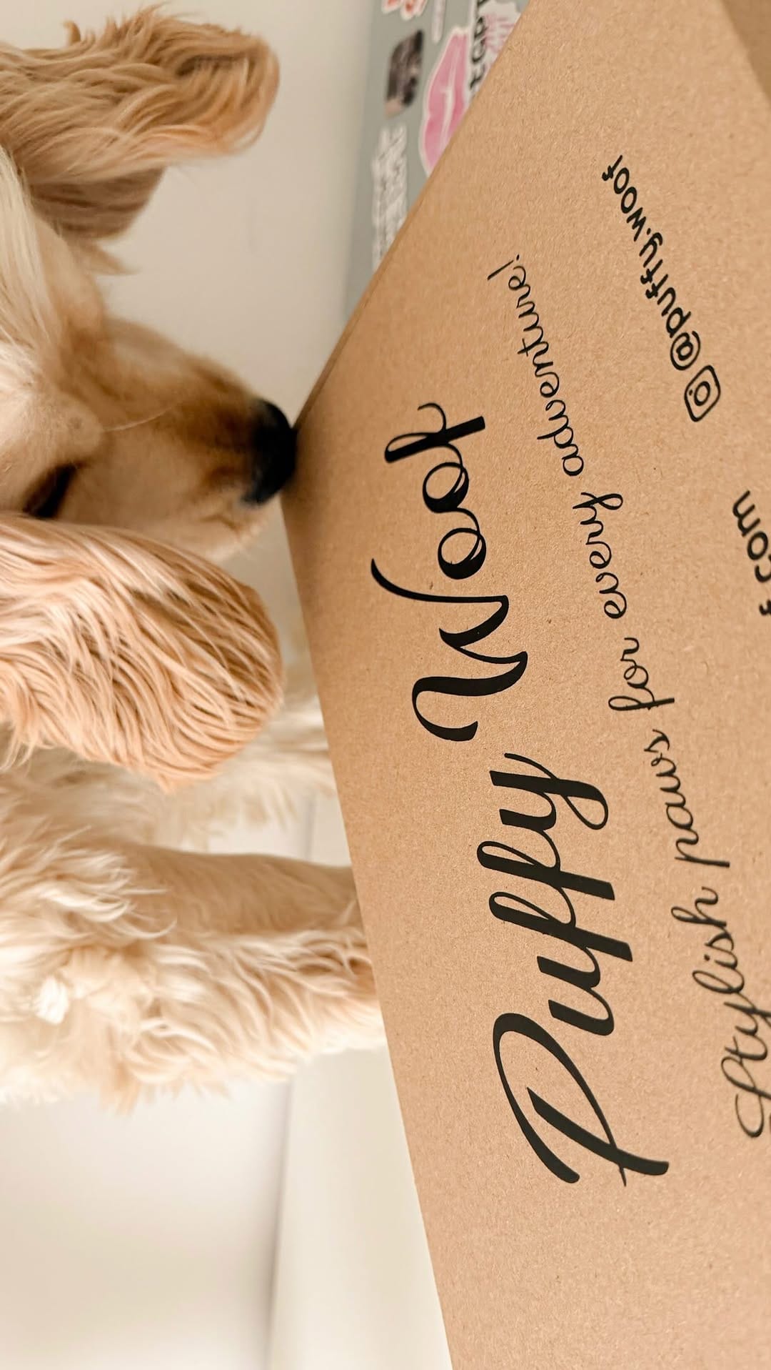 Post 9 by Puffy Woof | Pet accessories on Instagram (video)
