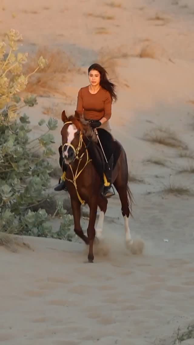 Post 1 by Horse Paradise on Instagram (video)