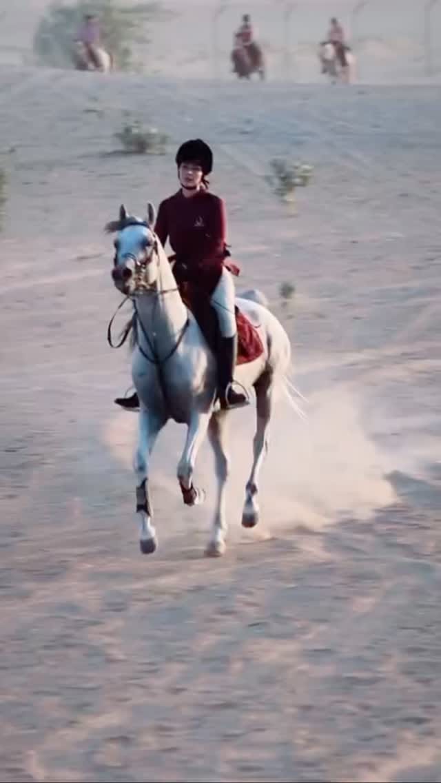 Post 4 by Horse Paradise on Instagram (video)
