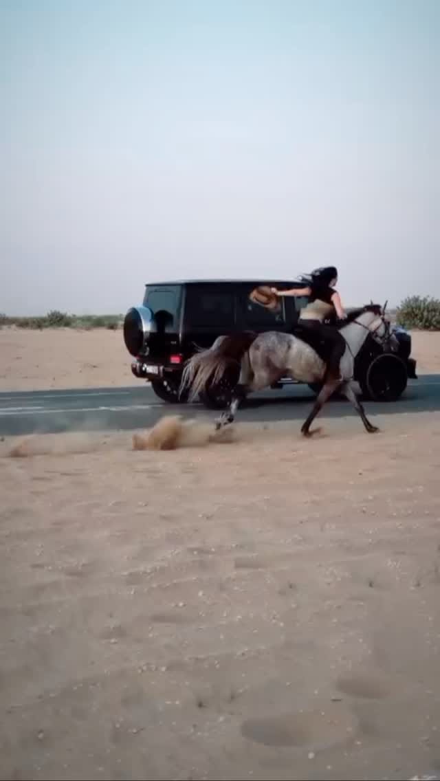 Post 5 by Horse Paradise on Instagram (video)