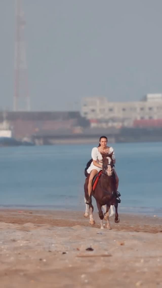 Post 3 by Horse Paradise on Instagram (video)