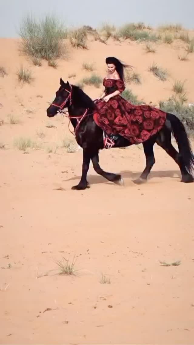Post 7 by Horse Paradise on Instagram (video)