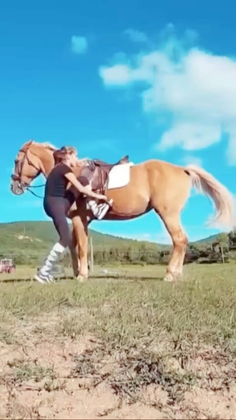 Post 10 by Horse Paradise on Instagram (video)