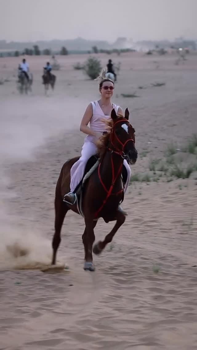 Post 2 by Horse Paradise on Instagram (video)