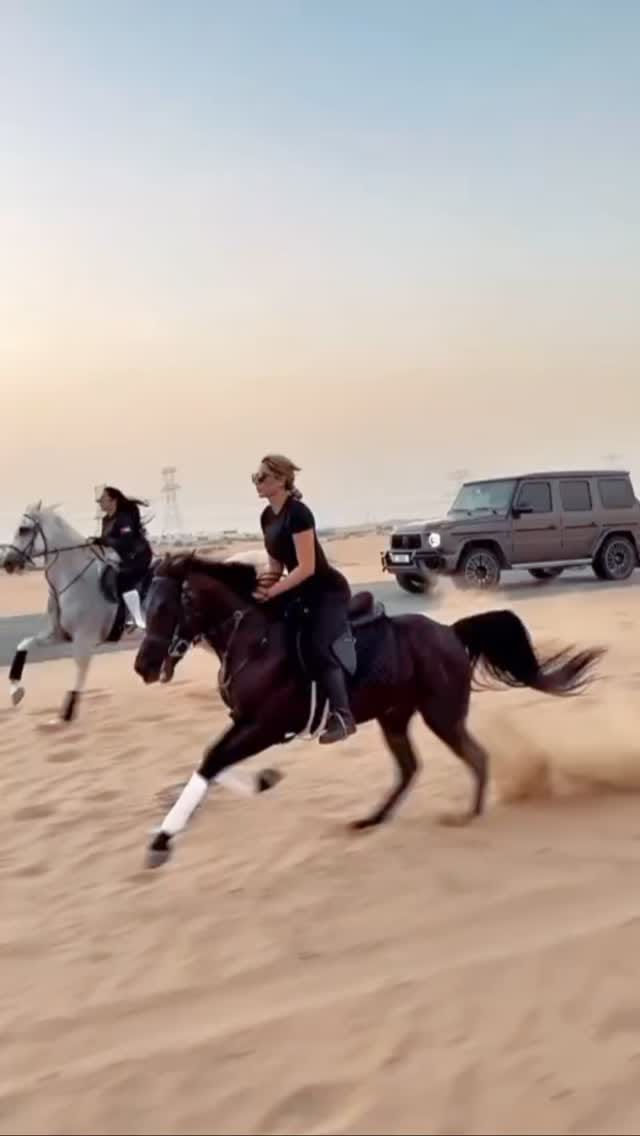 Post 8 by Horse Paradise on Instagram (video)