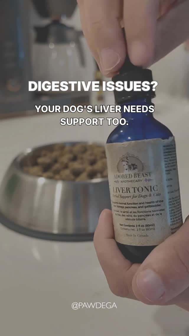 Post 2 by PAWDEGA | Online Holistic Pet Wellness Store on Instagram (video)