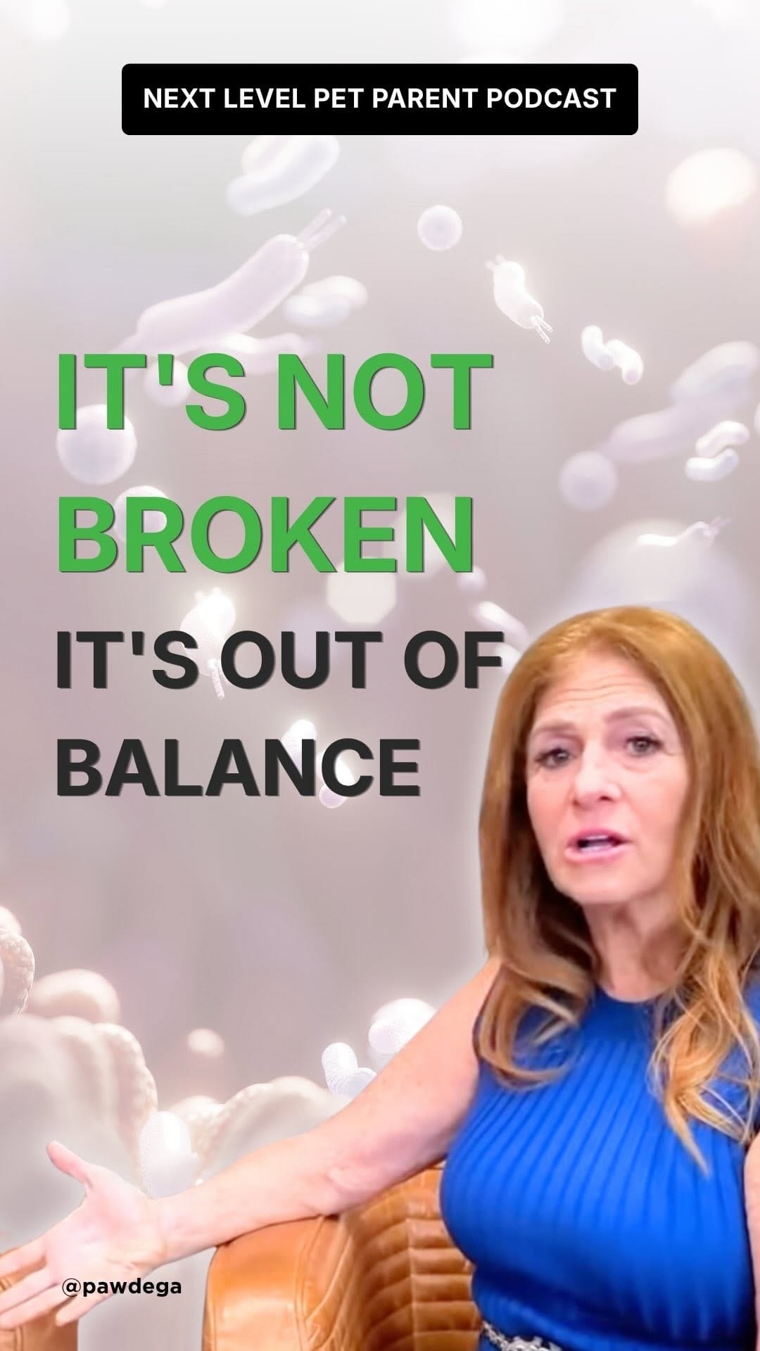 Post 4 by PAWDEGA | Online Holistic Pet Wellness Store on Instagram (video)
