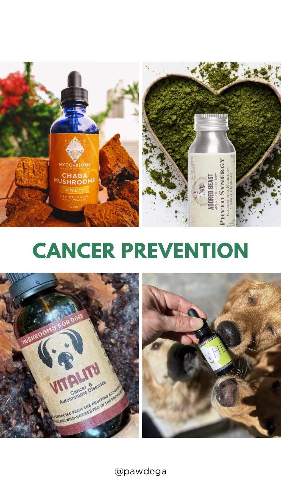 Post 5 by PAWDEGA | Online Holistic Pet Wellness Store on Instagram (video)