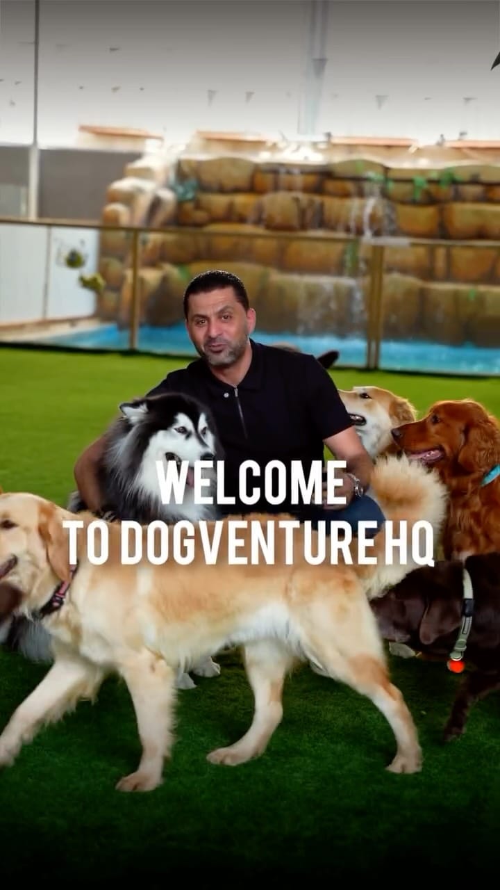 Post 1 by 𝐃𝐨𝐠𝐯𝐞𝐧𝐭𝐮𝐫𝐞 𝐇𝐐 | 𝐏𝐞𝐭 𝐂𝐚𝐫𝐞 | 𝐃𝐨𝐠 𝐃𝐚𝐲𝐜𝐚𝐫𝐞 𝐃𝐮𝐛𝐚𝐢 on Instagram (video)