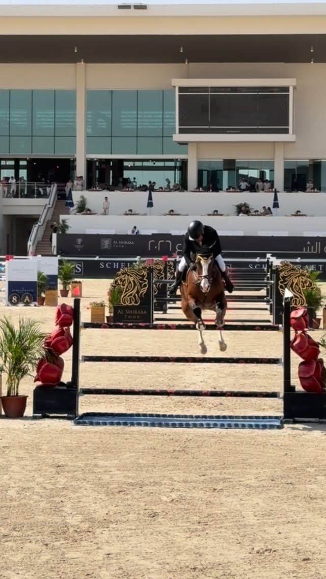 Post 7 by Farhang & Andrea  🇦🇪 on Instagram (video)