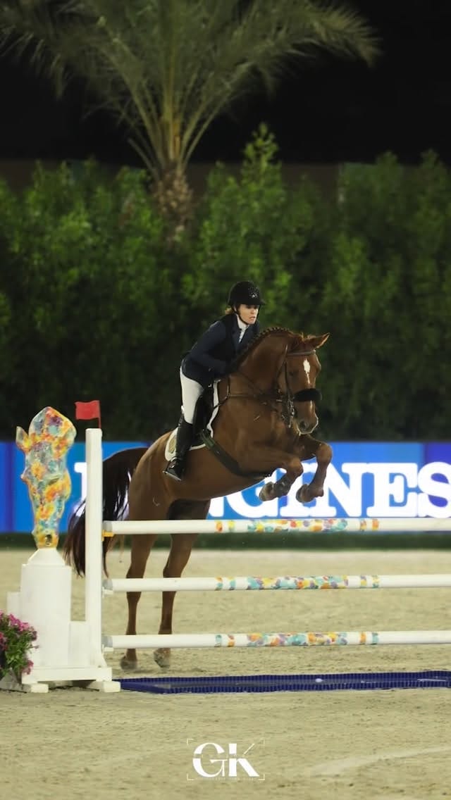 Post 6 by Farhang & Andrea  🇦🇪 on Instagram (video)