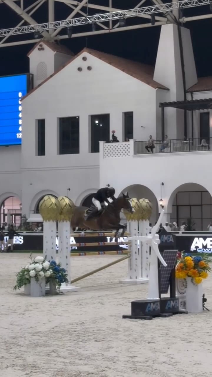 Post 9 by Farhang & Andrea  🇦🇪 on Instagram (video)
