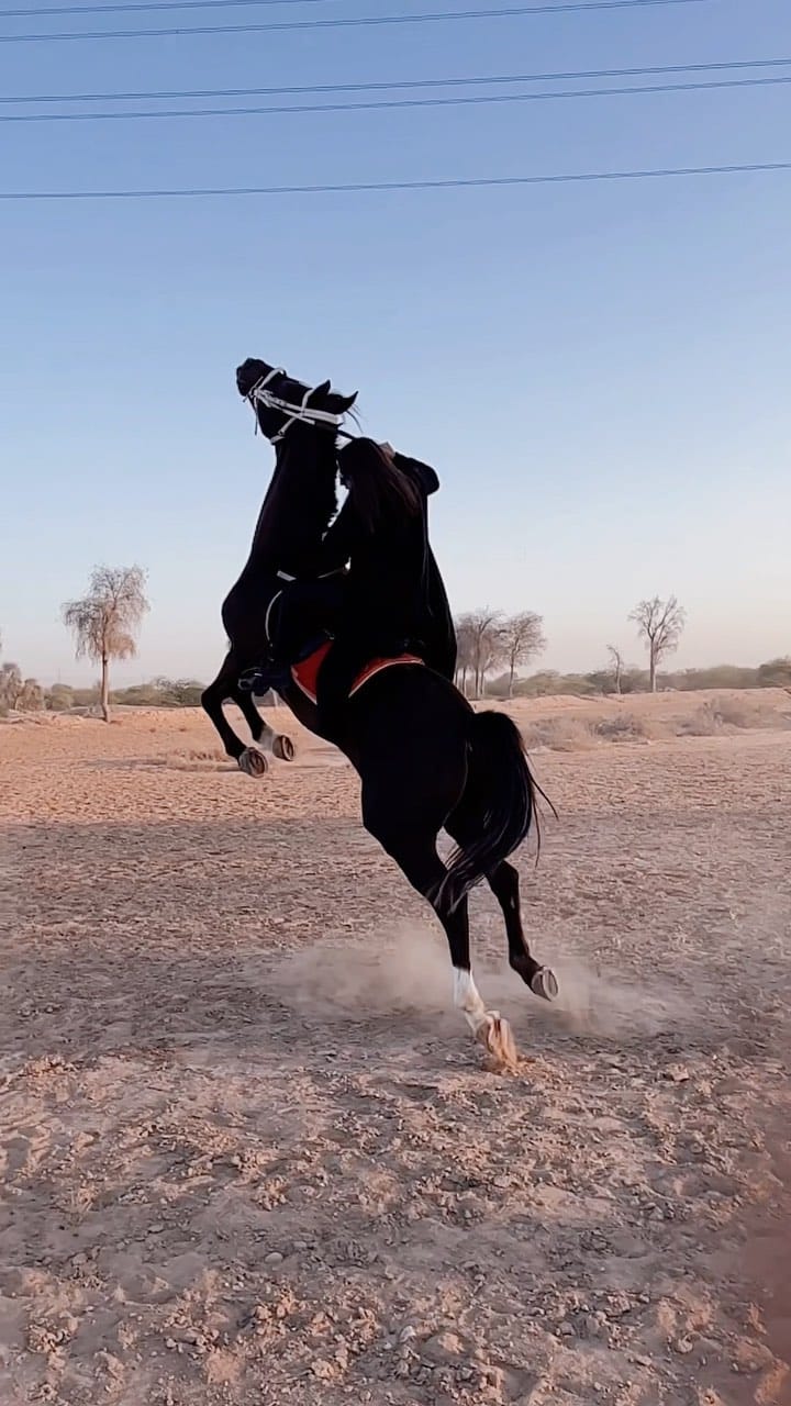 Post 9 by Alexandra Toma on Instagram (video)