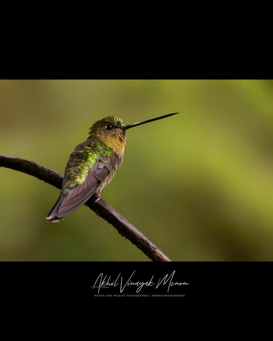 Post 6 by Akhil Vinayak Menon on Instagram (carousel)