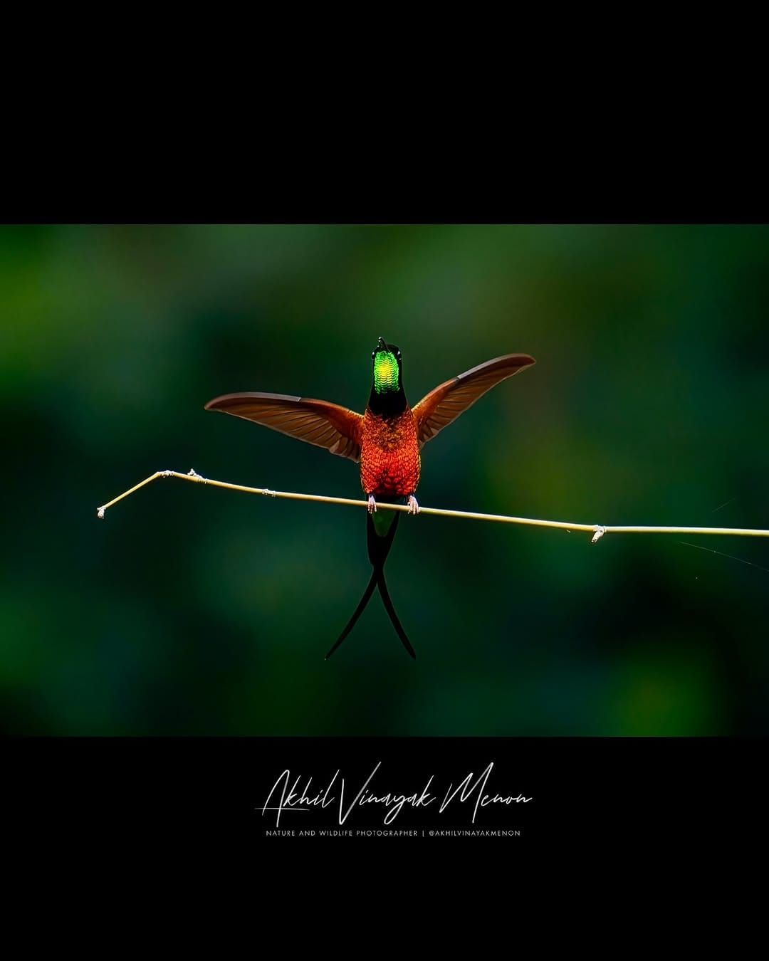 Post 8 by Akhil Vinayak Menon on Instagram (carousel)