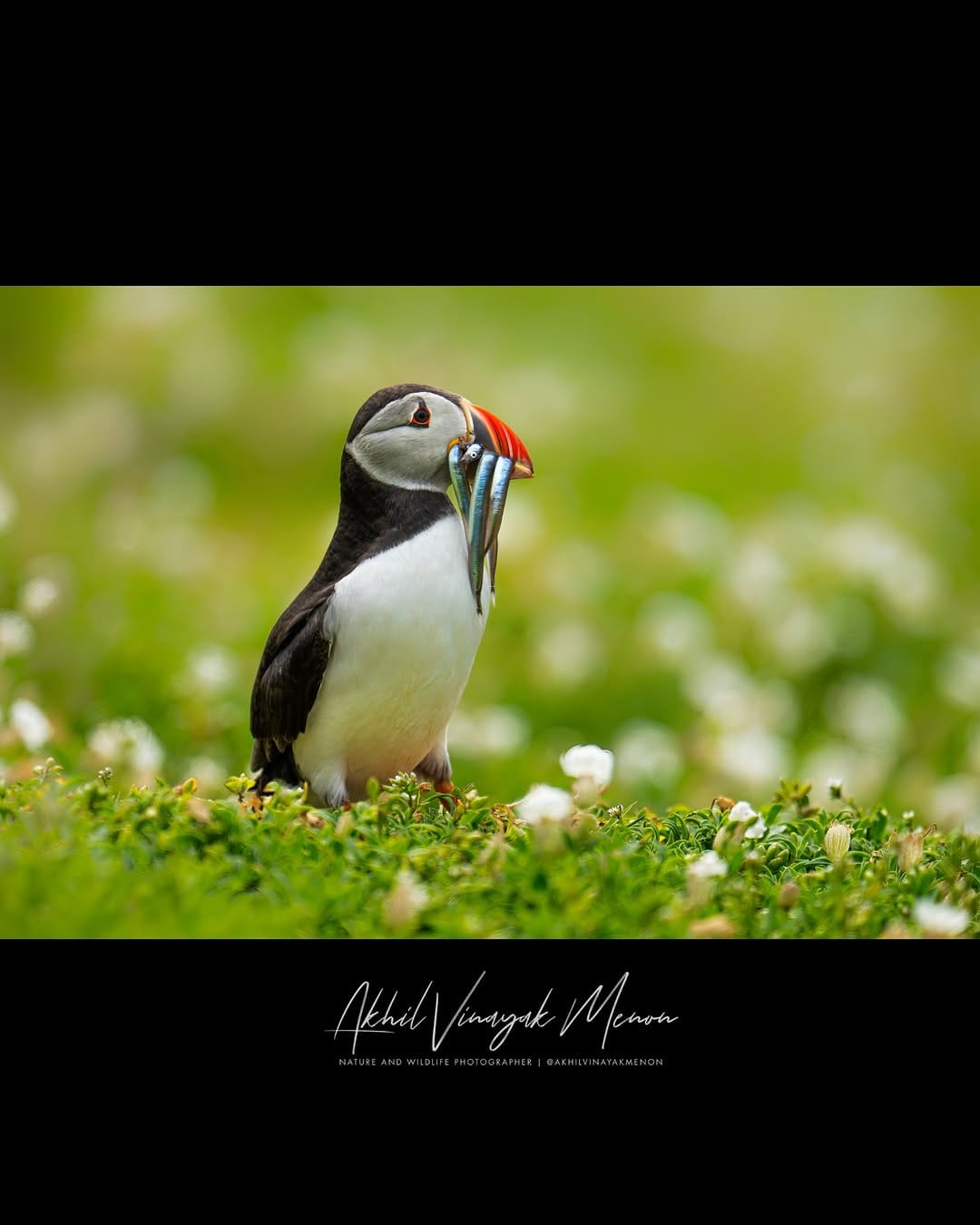 Post 5 by Akhil Vinayak Menon on Instagram (carousel)