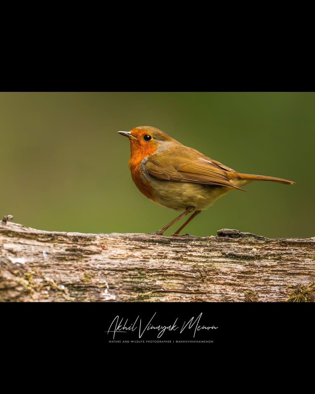 Post 2 by Akhil Vinayak Menon on Instagram (carousel)