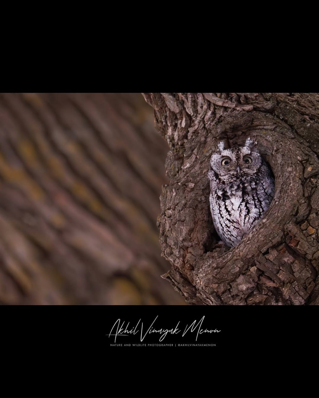 Post 10 by Akhil Vinayak Menon on Instagram (carousel)