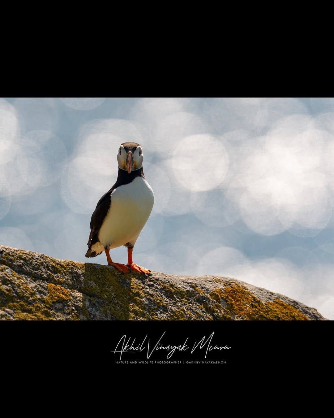 Post 3 by Akhil Vinayak Menon on Instagram (carousel)