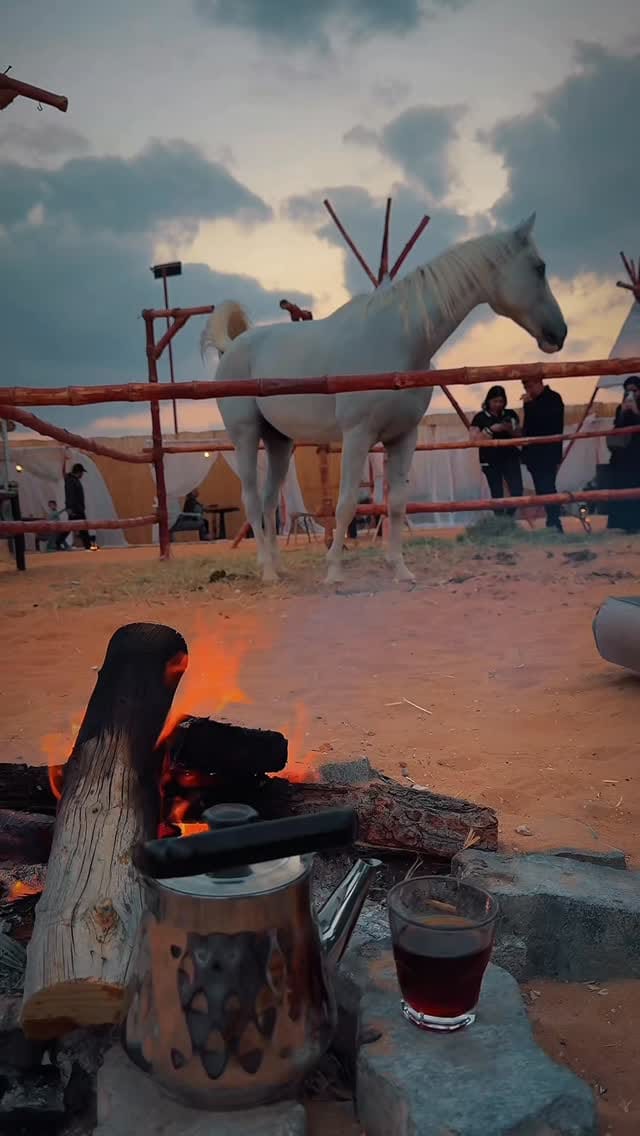 Post 6 by محمد بن أحمد on Instagram (video)